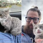 A man heard a cat crying near the parking lot