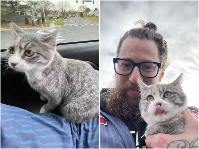 A man heard a cat crying near the parking lot