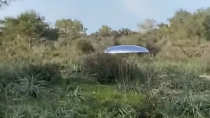 The enigma of the UFO (OVNI) in the forest: a mystery that defies logic In this captivating post, delve into the depths of the forest where a mysterious UFO (OVNI) struggles to hide from the relentless American police.