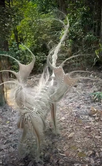 Unusual scene: Mysterious alien creature captured on camera while walking into the forest!