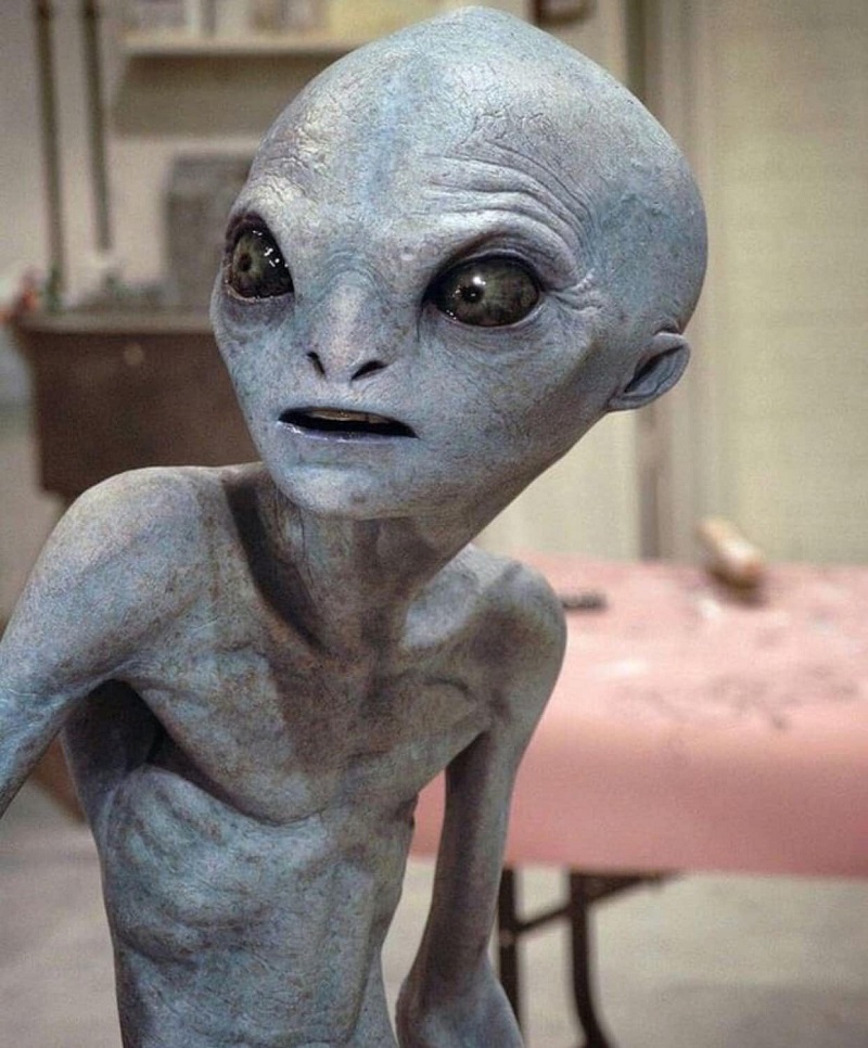 Alien Contact: What Happens If We Meet Extraterrestrial Life?