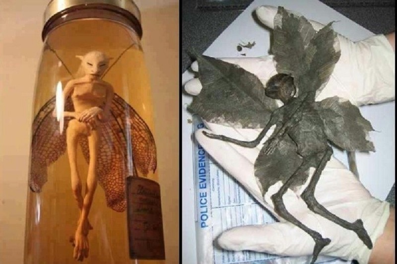 Alien Languages: Can We Decode Extraterrestrial Communication?