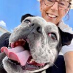 The abandoned dog never smiled until it met kind people