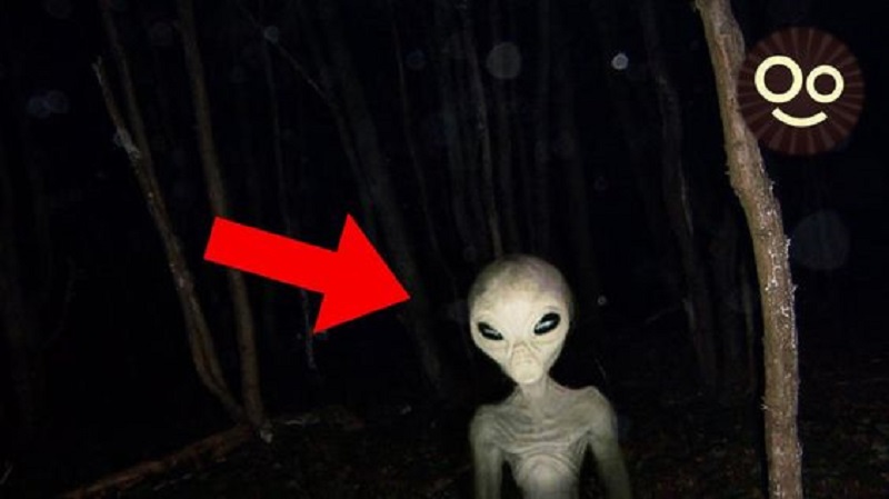 The Dark Forest Hypothesis Why Aliens Might Remain Silent