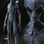 Alien Hobbies and Pastimes: What Do They Do for Fun?