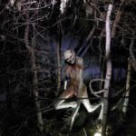 Alien-Like Creature Discovered by Farmer in Woods