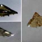 UFO Sightings: A Case for Advanced Military Technology?
