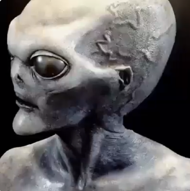 Alien Intelligence: Understanding the Cognitive Abilities of ETs