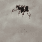 “Mysterious UFO Sightings in the USA”