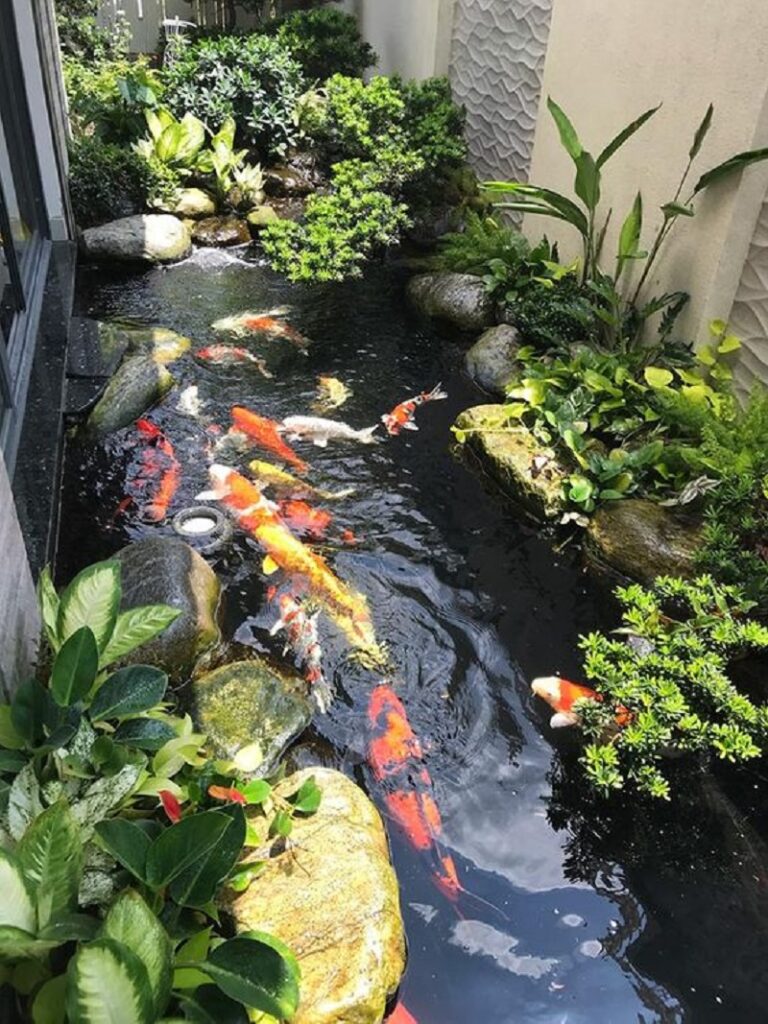Dive into Tranquility: Why an Aquarium in Your Garden Is a Unique Choice