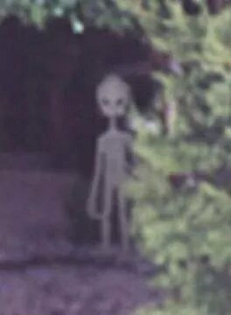 The Wow! Signal: Was It an Extraterrestrial Communication?