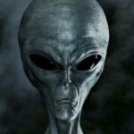 The Hunt for Extraterrestrial Life: How UFOs Fit into the Puzzle
