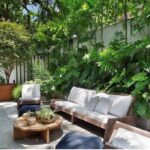 Embracing Indoor Greenery The Beauty of Houseplants