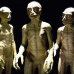 Extraterrestrial Senses: How Aliens Might Perceive the Universe