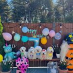 The Coton de Tulear Your Fluffy Companion