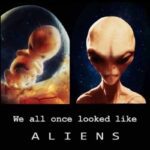 Alien Beings: Exploring the Humanoid Form in the Cosmos