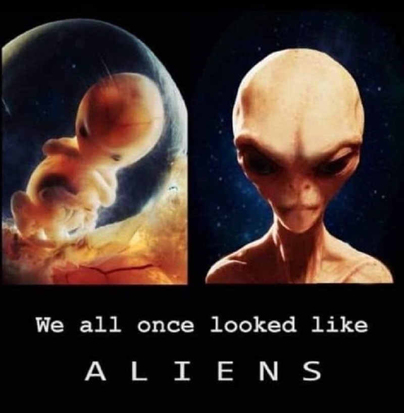 Alien Beings: Exploring the Humanoid Form in the Cosmos