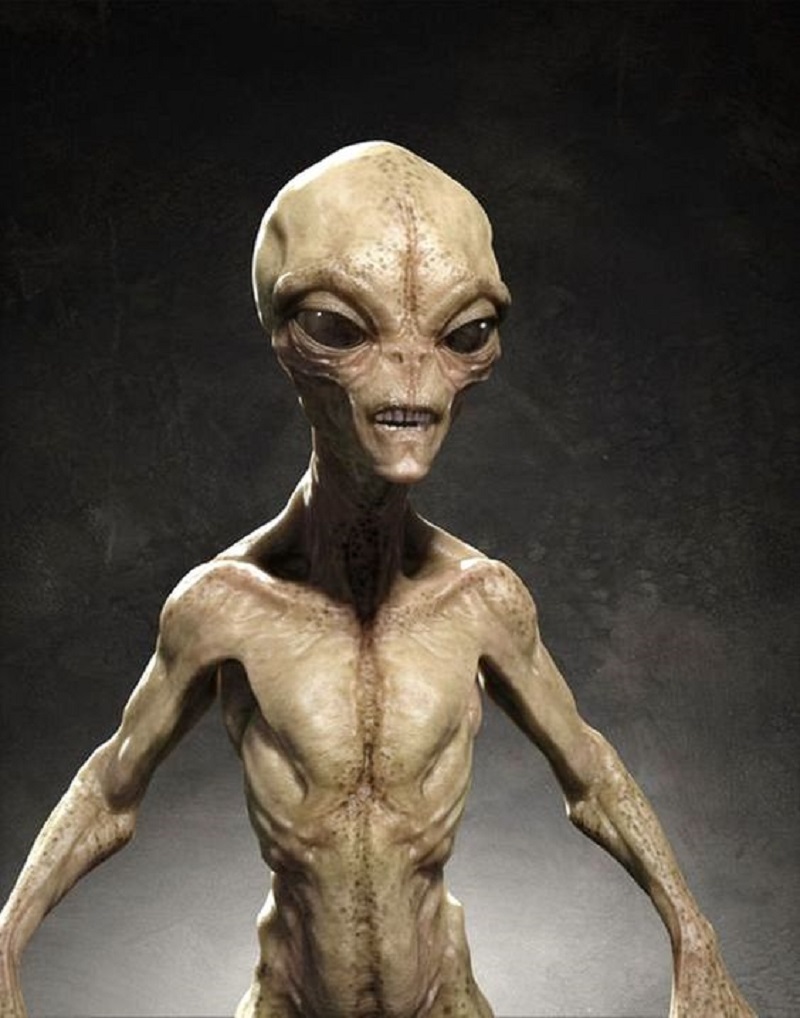 Alien Evolution From Simple Organisms to Advanced Beings